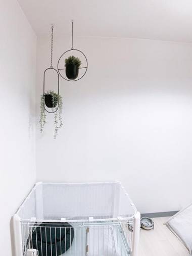 OUCHI HOTEL Kanayama-cho with Dogs