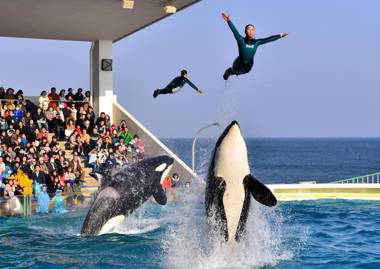 Kamogawa Sea World Hotel