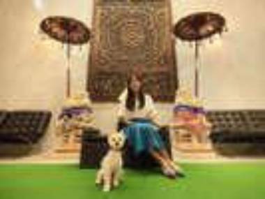 Love Dog Resorts Aiken-Oyado