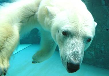 Hotel Trend Asahikawa