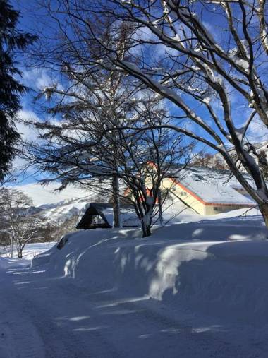 Canopy Cortina Lodge