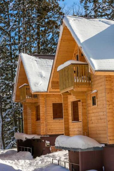 WADANO WOODS by Hakuba Hotel Group