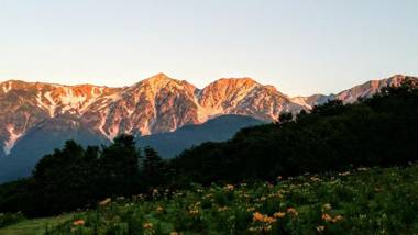 Little Alaskan Guest House