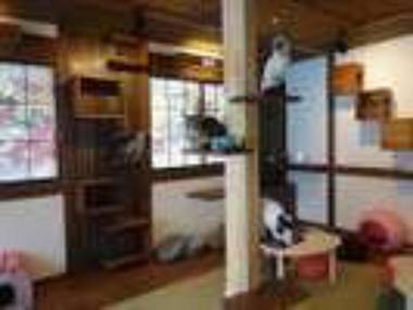 Hakuba Kappo Ryokan Minamiya