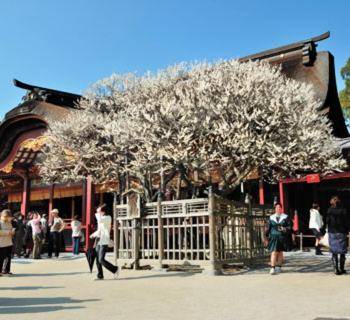 ザ ミッキー カールトン 井尻 203