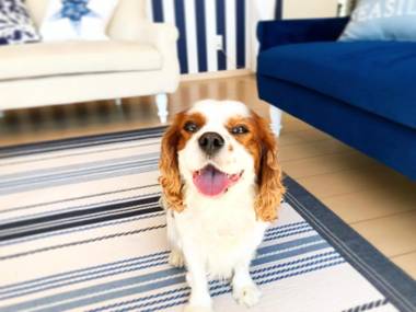 Marine House KAKISAKI