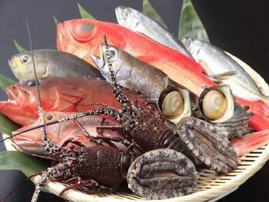 Shimoda Bay Kuroshio