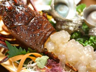 Welcome Inn SunnySteps