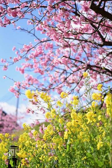 Tiny Base The River HOUSE & TRAILER