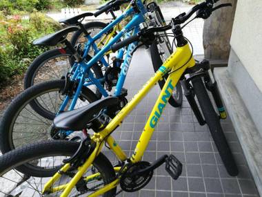 Yufuin Onsen Hasuwa Inn