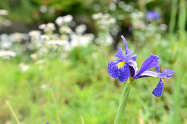 Yufuin Floral Village Hotel