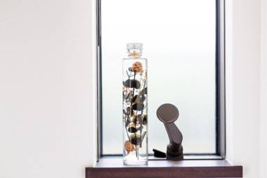 Erable Mt.Fuji "Kaze"