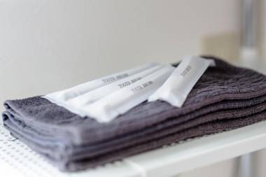 Erable Mt.Fuji "Kaze"