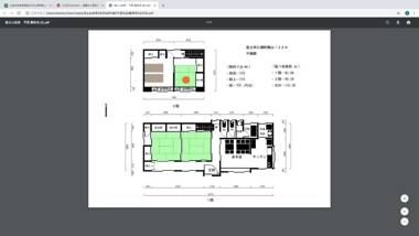 富士山金魚 Fujisan Kingyo