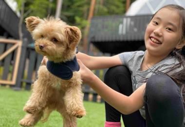 TOCORO. Mt.Fuji CAMP&GLAMPING