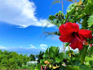 E-horizon Resort Condominium Yomitan