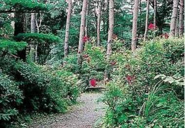 Oshino Kogen Hotel