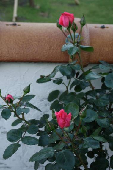 Hillside Inn Sirocco