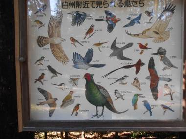 Southern Alps Kaikomagatake Foot of the Kaikoma