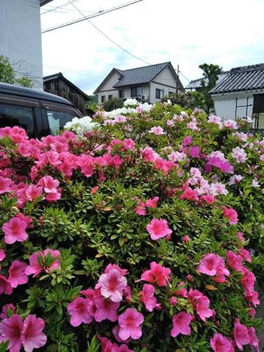 Guesthouse Yashima