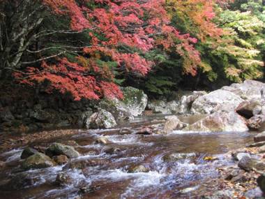 Hotel Seira Shimanto