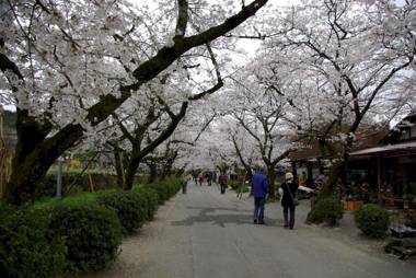Akizuki Spa Ryokan Seiryuan