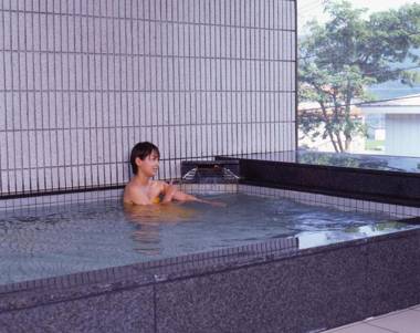 Inner Village Miyama