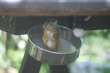 ピッコロホテル オペラ軽井沢