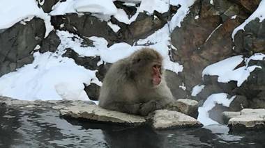 Blueberry Pension Madarao