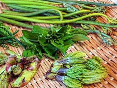 Nishihoppo Onsen Hotel