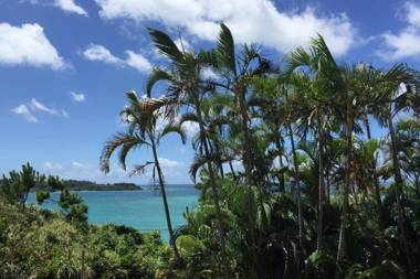 Ocean Resort 101 B32