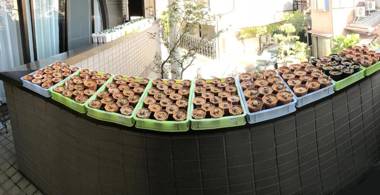 Nakagawa's Cozy House