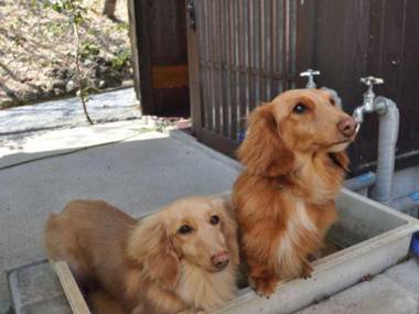 Onsenyado Ogasawara Aso