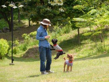 Onsenyado Ogasawara Aso