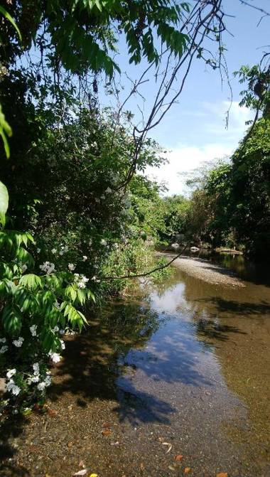 Ukiha Kojio no Akari