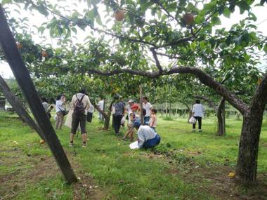 Ukiha Kojio no Akari