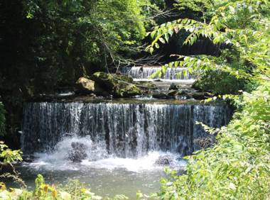 Art・Music Manatei Hakone