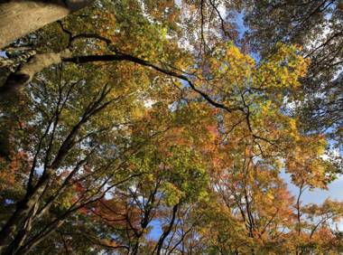 Art・Music Manatei Hakone