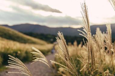 THE HIRAMATSU HOTELS & RESORTS SENGOKUHARA HAKONE