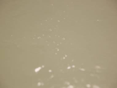 自家源泉かけ流しの宿 箱根翠泉