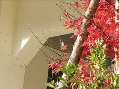 Futatsuya Onsen Kokoro No Yado Yasuragi