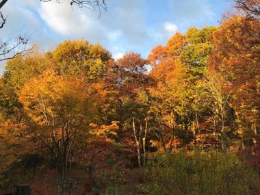 Foresta Karuizawa
