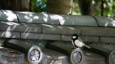 Atelier Bee's Knees Bed & Breakfast