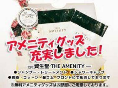 Business Hotel Park Inn Sato