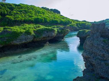 Allamanda Imgya Coral Village