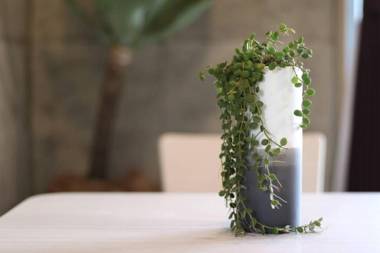 読谷村カービラハウス ow4