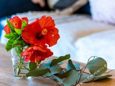 OceanResort Maedamisaki