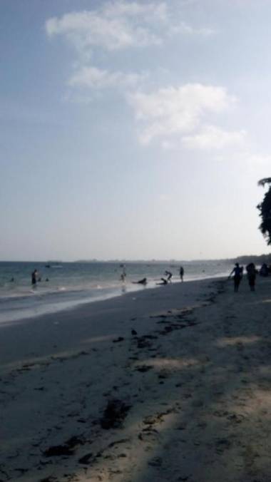 Sunny Beachfront Studio