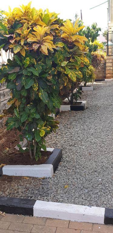 Satomfa Ferienhaus Nord