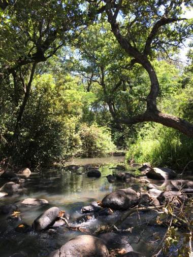 Ole Samara guest suites